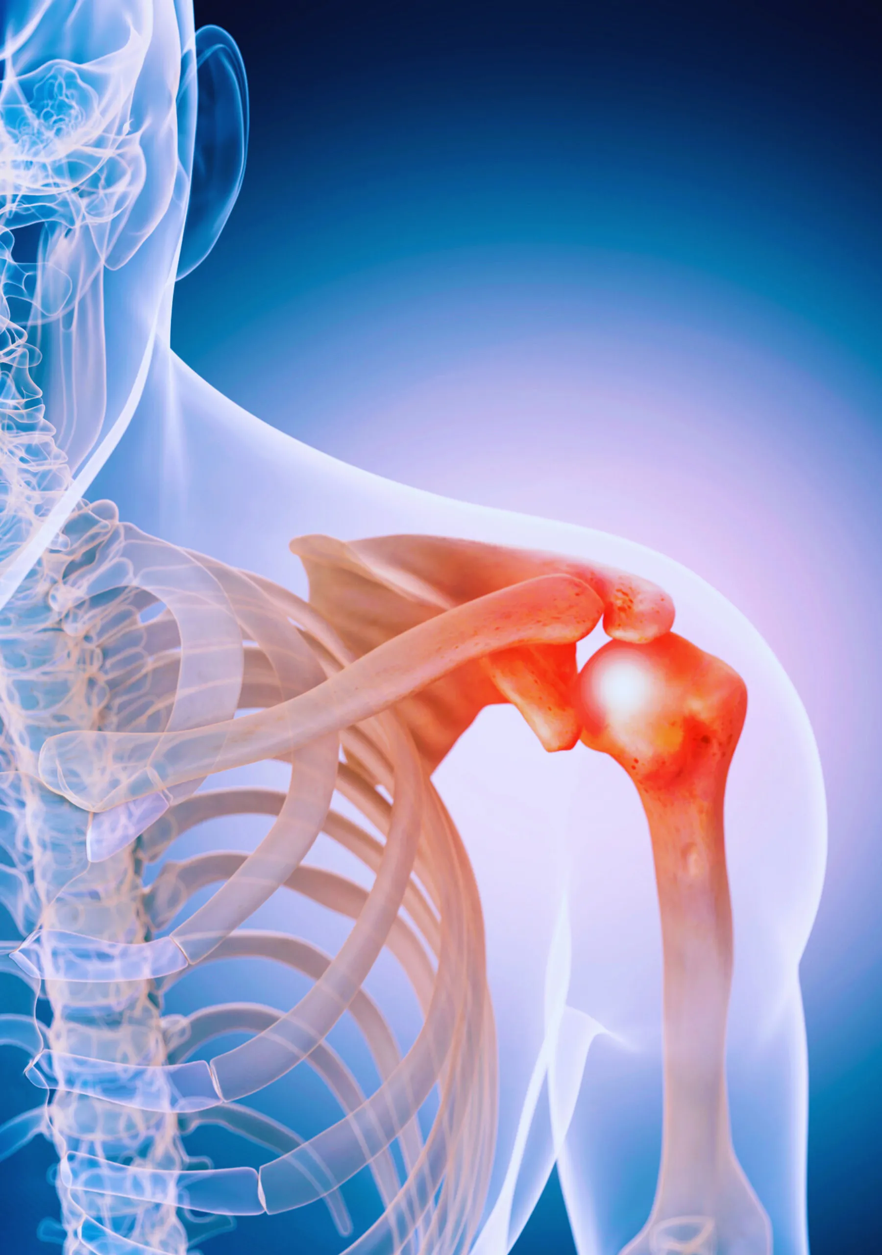 Untitled design (43)